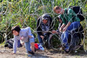 Une famille de migrants se faufile sous la clôture de barbelés installée à la frontière entre la Serbie et la Hongrie, le 28 août. ATTILA KISBENEDEK / AFP